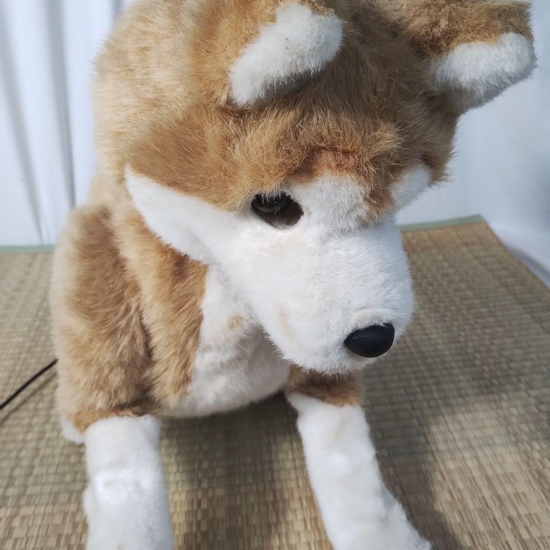 z【一部難あり】 電動 ペットロボット ココチモ 愛犬しばちゃん 等身大 柴犬