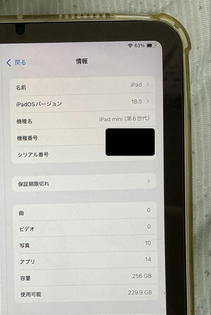 iPad mini （第6世代）256GB Wi-Fi+ Cellular