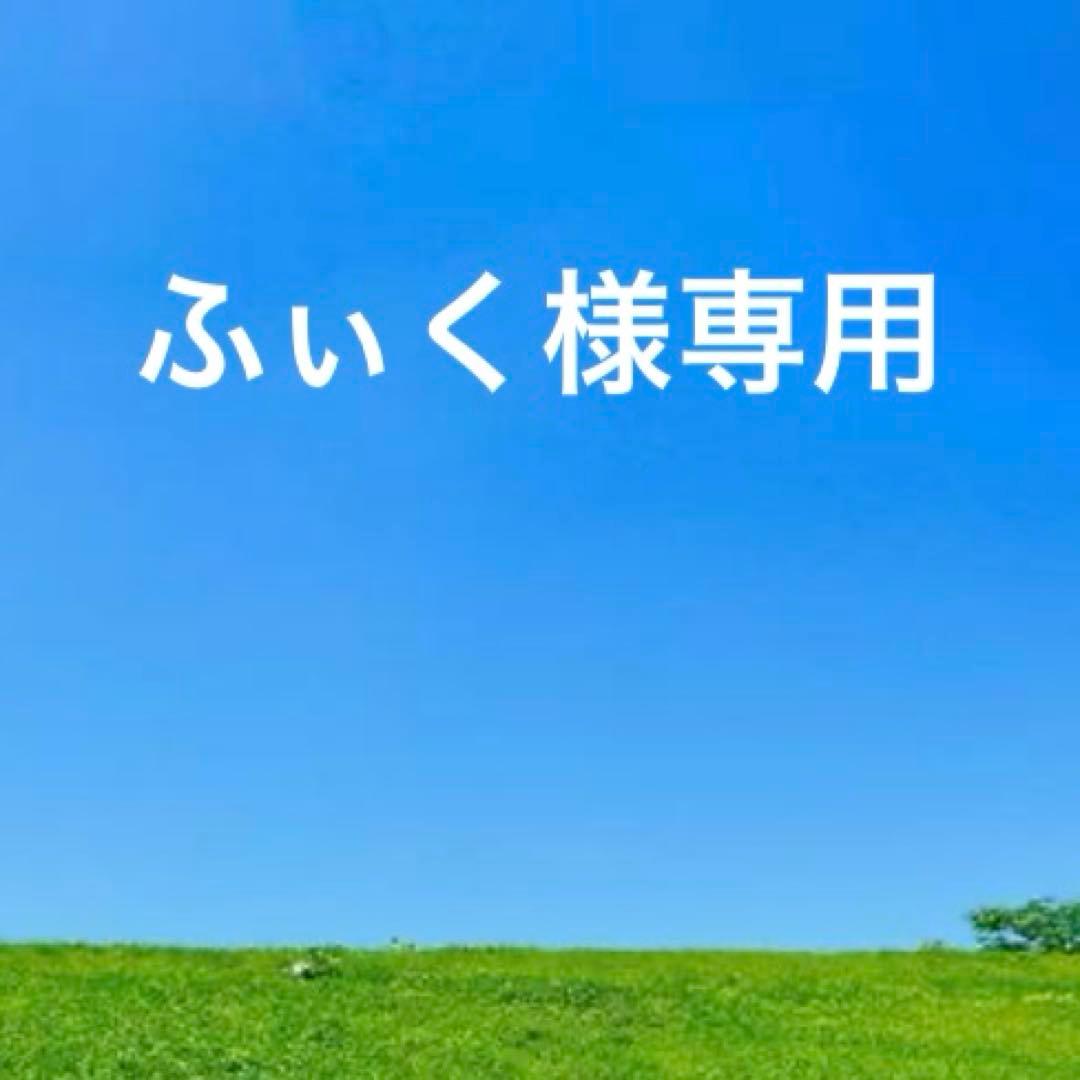 未使用　希少IL BISONTE レザー三つ折りがま口財布　クロコ型押し　ルビー