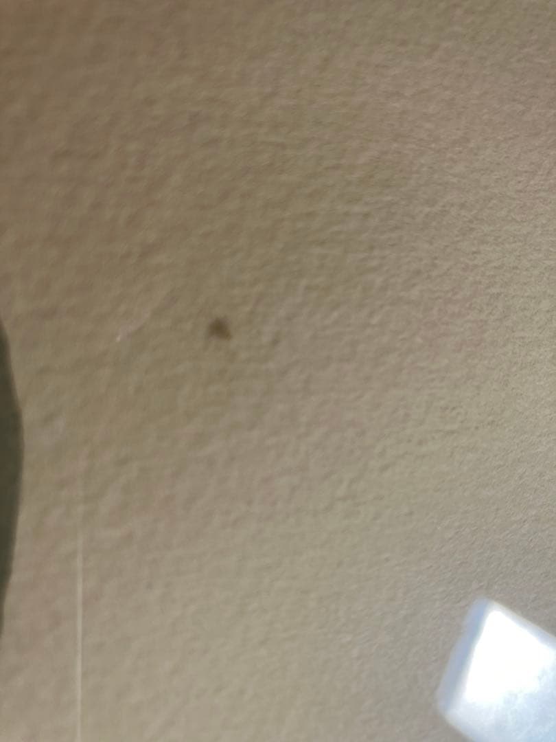 セール！【希少】平野恵理子さんの版画 1999年　日本の暮らしと小物たち　額装済