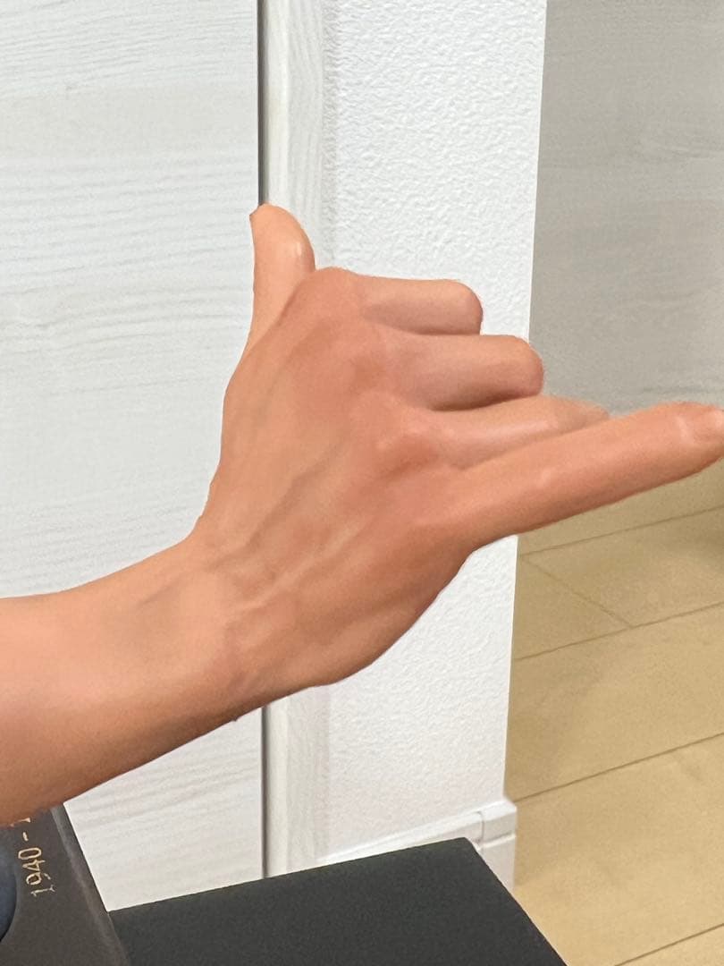 ENTERBAY エンターベイ 1/4 ブルース・リー 胸像 スタチュー 限定品