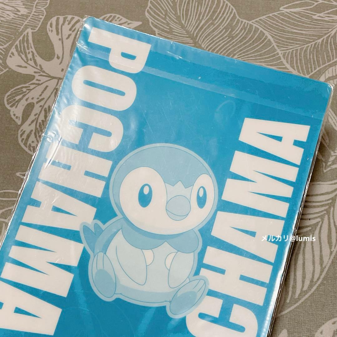 ポケモン JR西日本 スタンプラリー 2007 下敷き 全5種 コンプリート