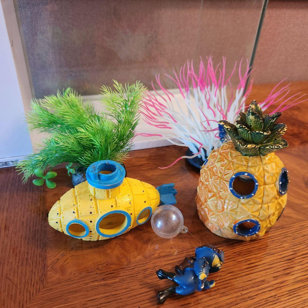 RAKU TERIOR 水槽セット ラクテリア GEX 26点セット 海水 水槽