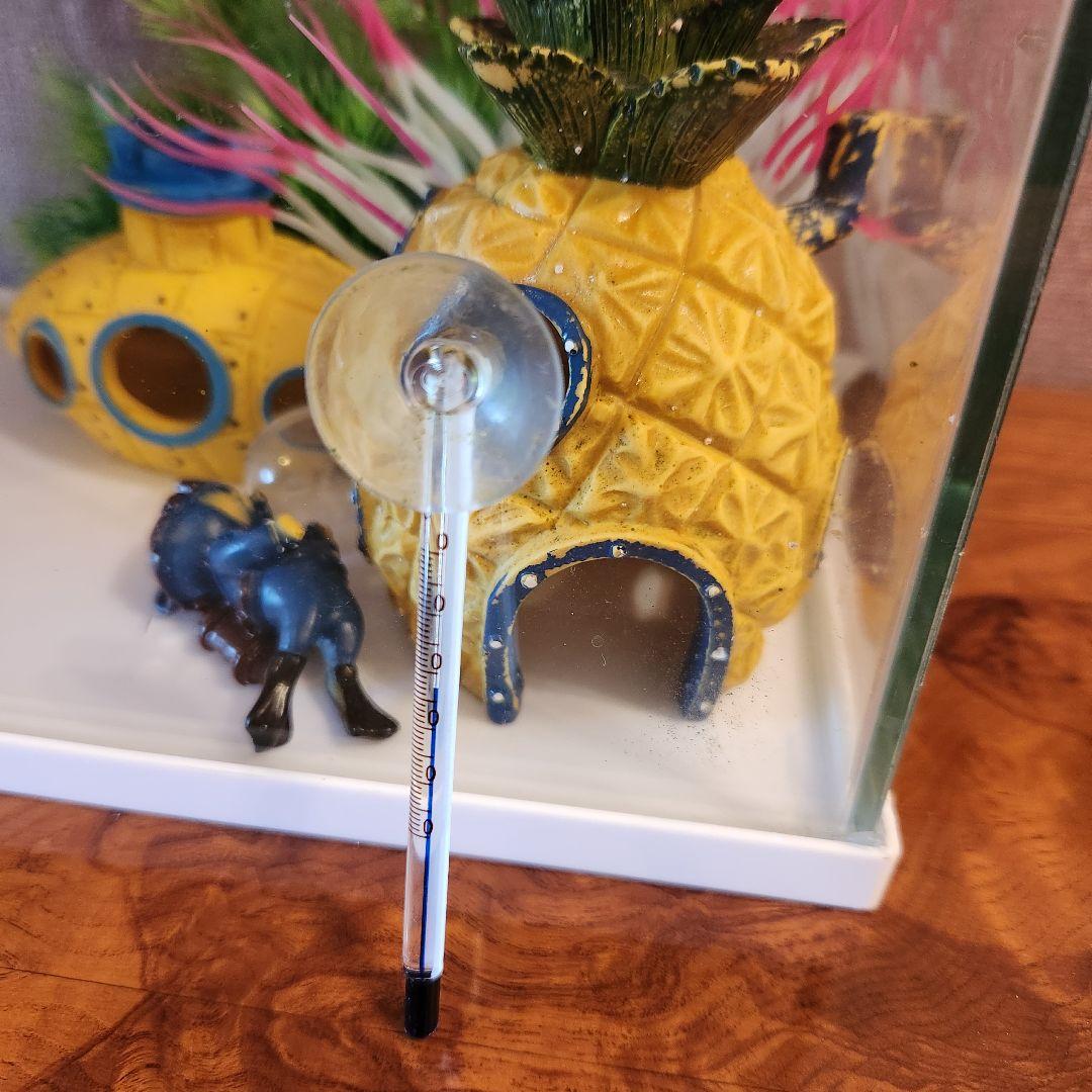 RAKU TERIOR 水槽セット ラクテリア GEX 26点セット 海水 水槽