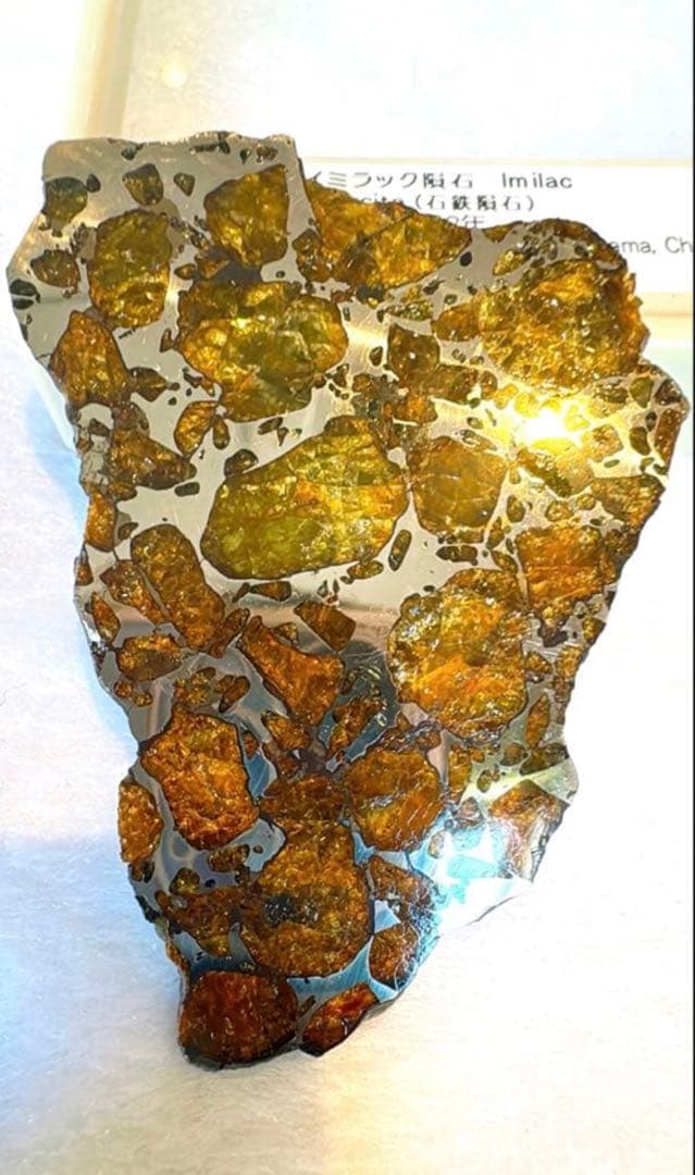 【存在感が段違い】28.0g イミラックパラサイト隕石標本（東京サイエンス購入）