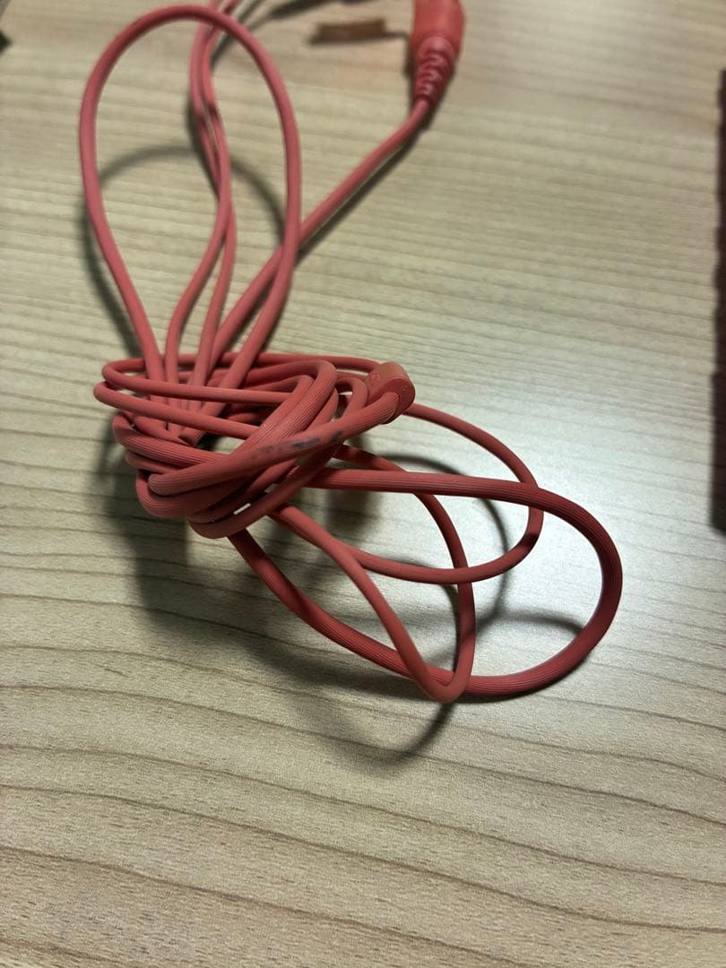 SONY ウォークマン レッド NW-A55 本体 付属品 イヤホン