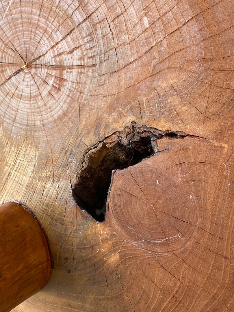 天然木 一枚板 花台 座卓 ローテーブル ちゃぶ台 飾り台 ディスプレイ台