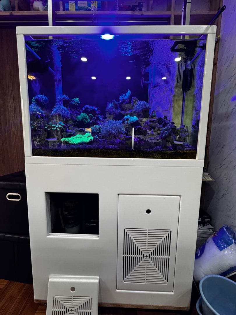 海水魚水槽90セット・スキマー・ポンプ付き