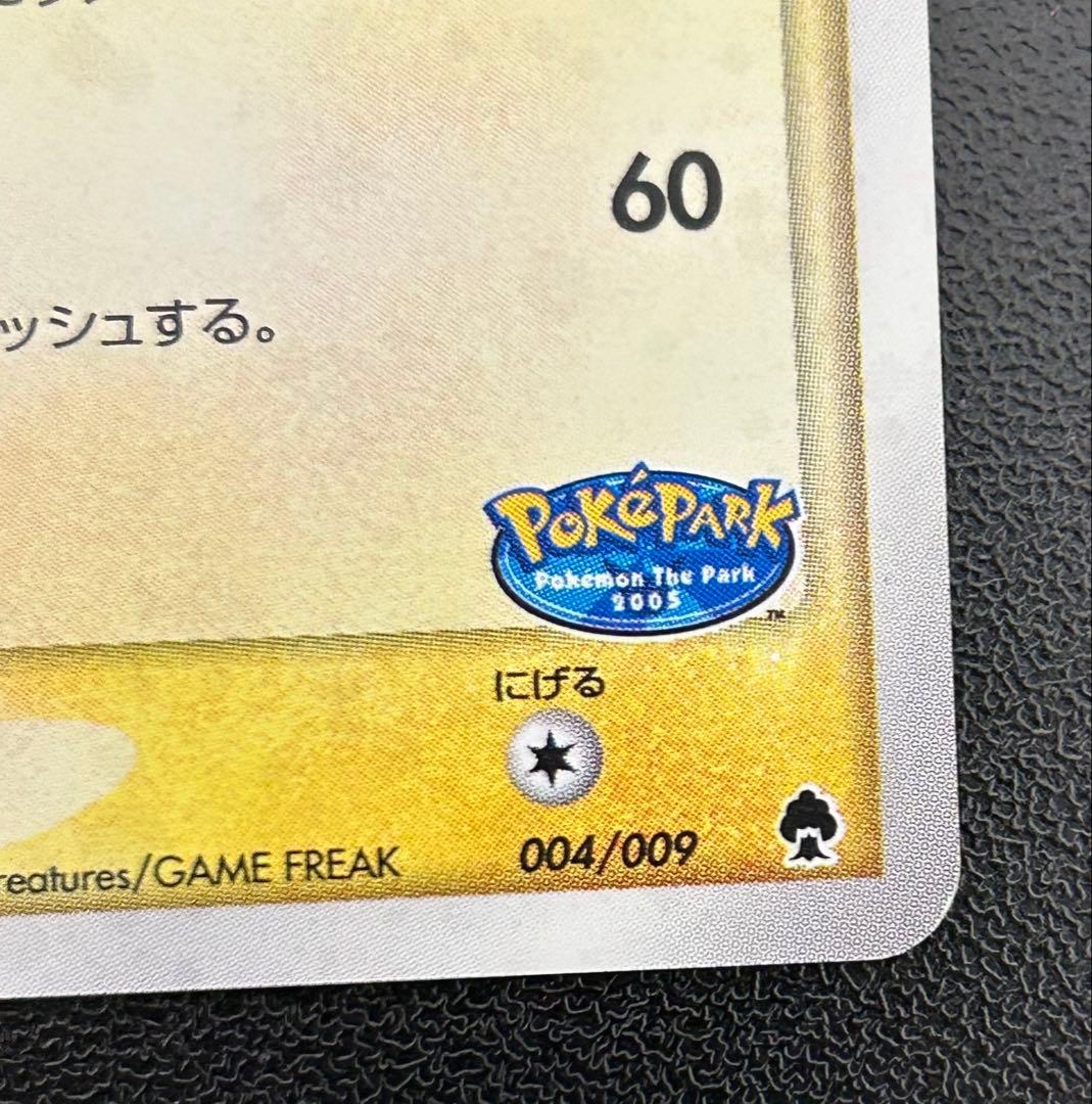 R*様 ポケパークのピカチュウ （004/009）