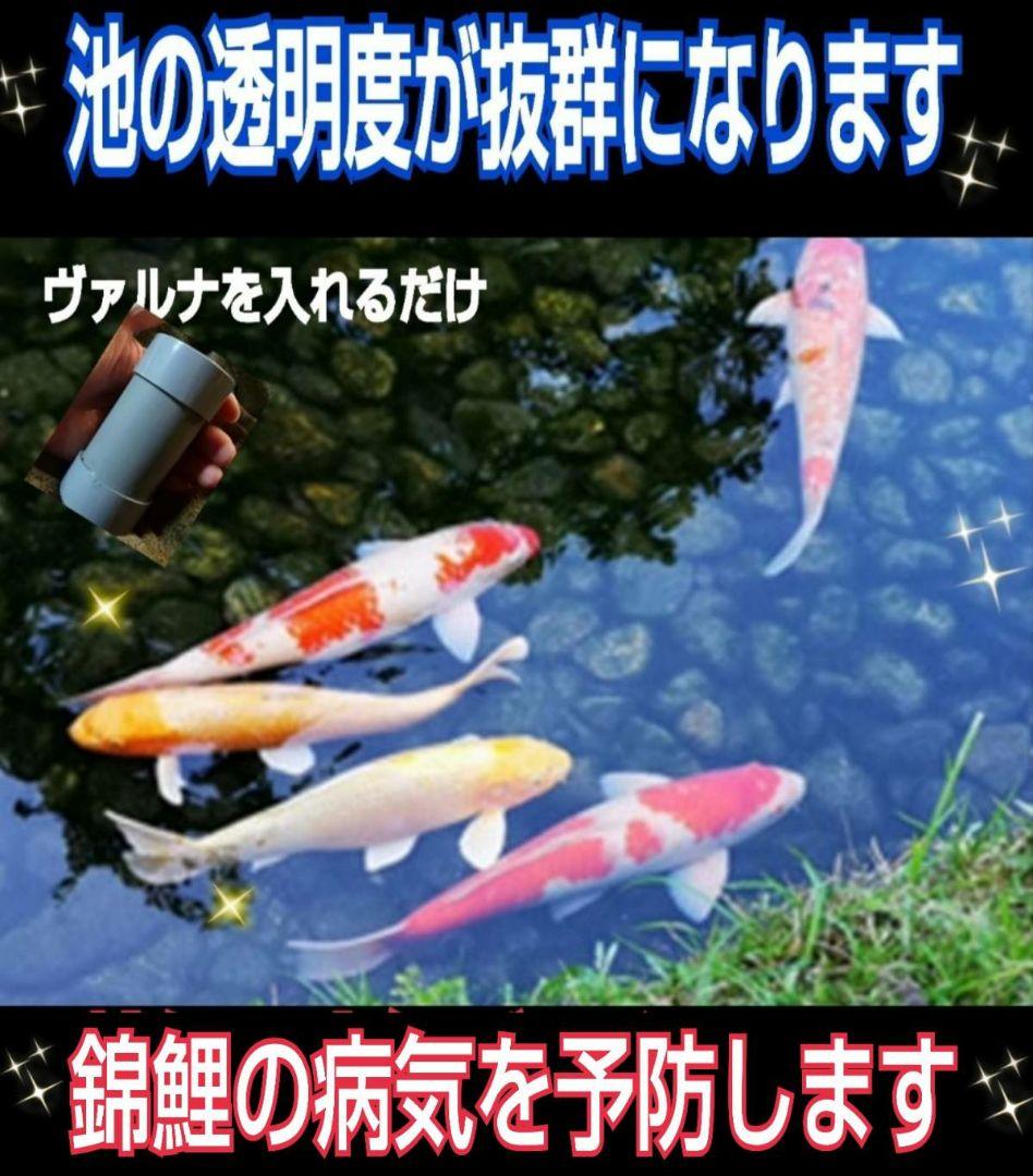 水槽の水が綺麗になる【ヴァルナ】有害物質を抑制し透明度抜群に！水槽に入れるだけ！