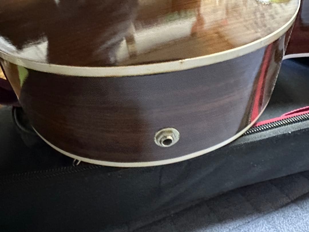 インド楽器 モハーンヴィーナ　Mohan Veena アコースティックギター