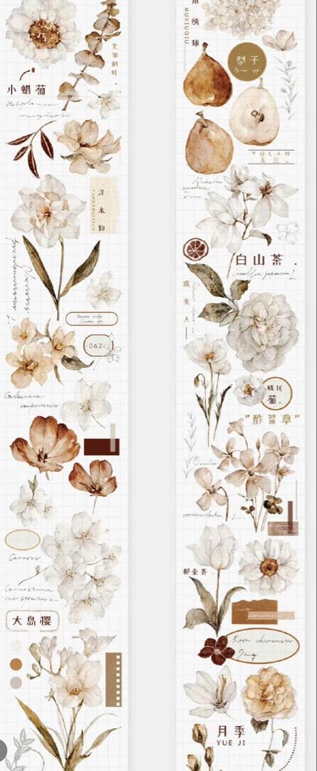 《在庫処分最終値下げ》海外 マスキングテープ雀斑茶 6点⚠️pet（33.324