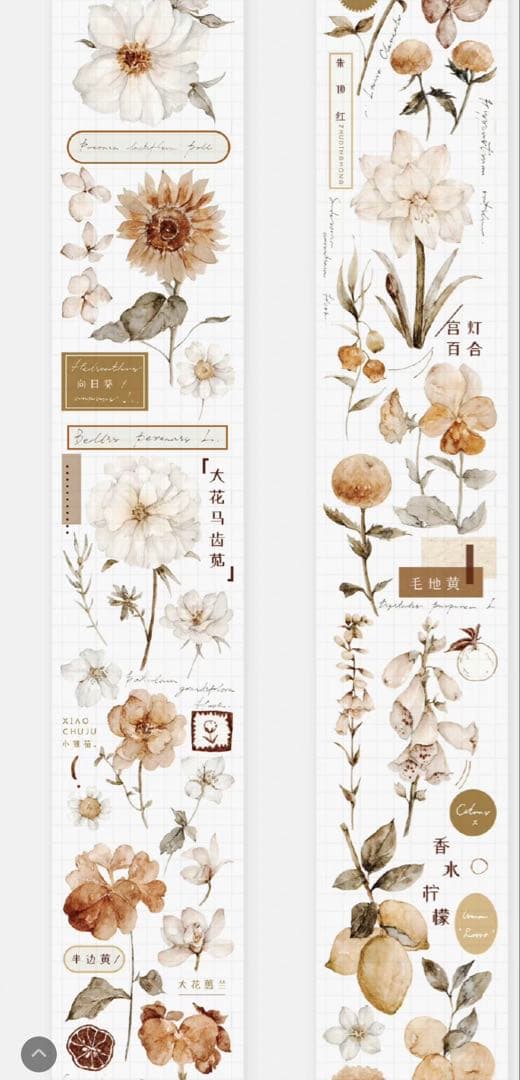 《在庫処分最終値下げ》海外 マスキングテープ雀斑茶 6点⚠️pet（33.324