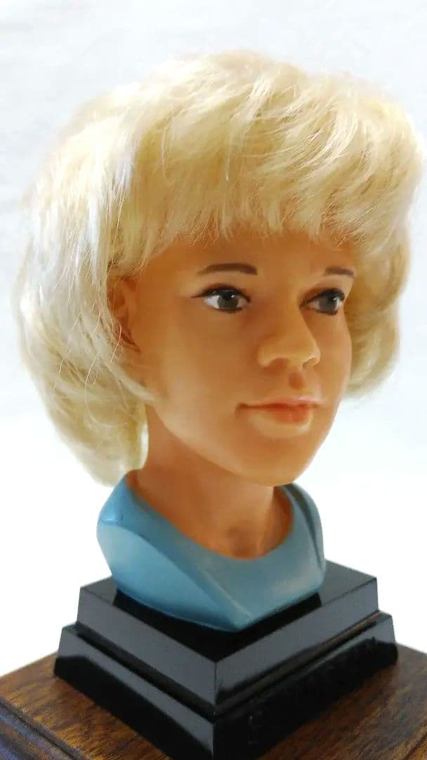 シルヴィ ヴァルタン SYLVIE VARTAN❤︎1965年ヴィンテージドール