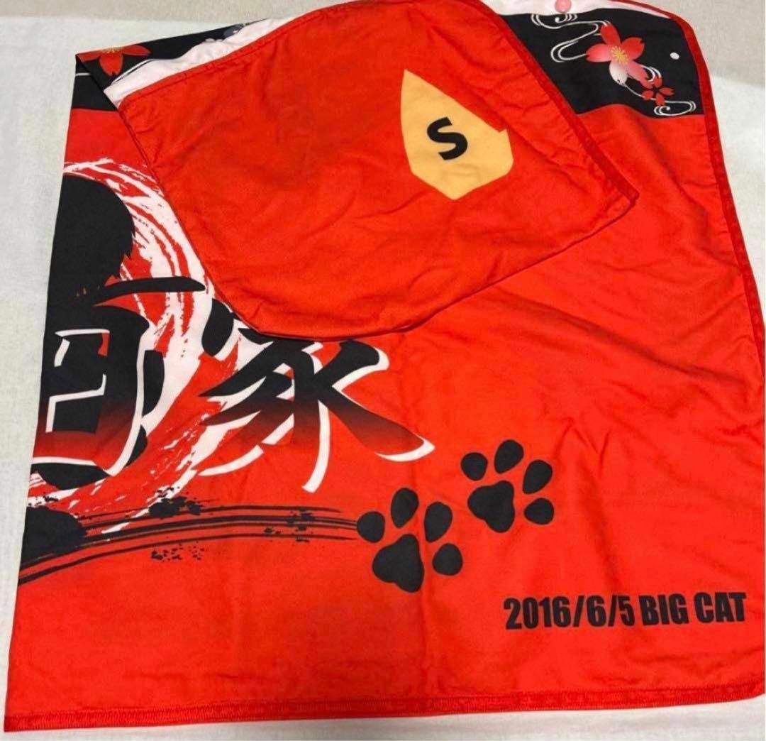 浦島坂田船　あほの坂田　となりの坂田