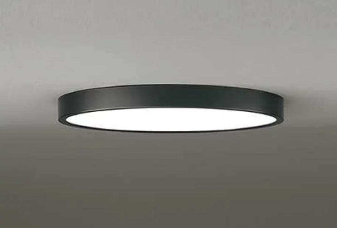 【新品】オーデリック　シーリングライト　照明　OL291416BR