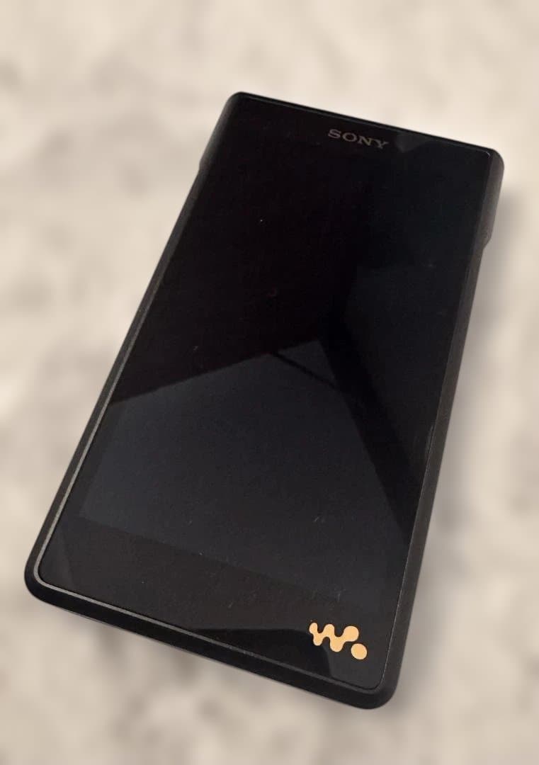 ソニー ウォークマン NW-WM1AM2 ＋純正レザーケース