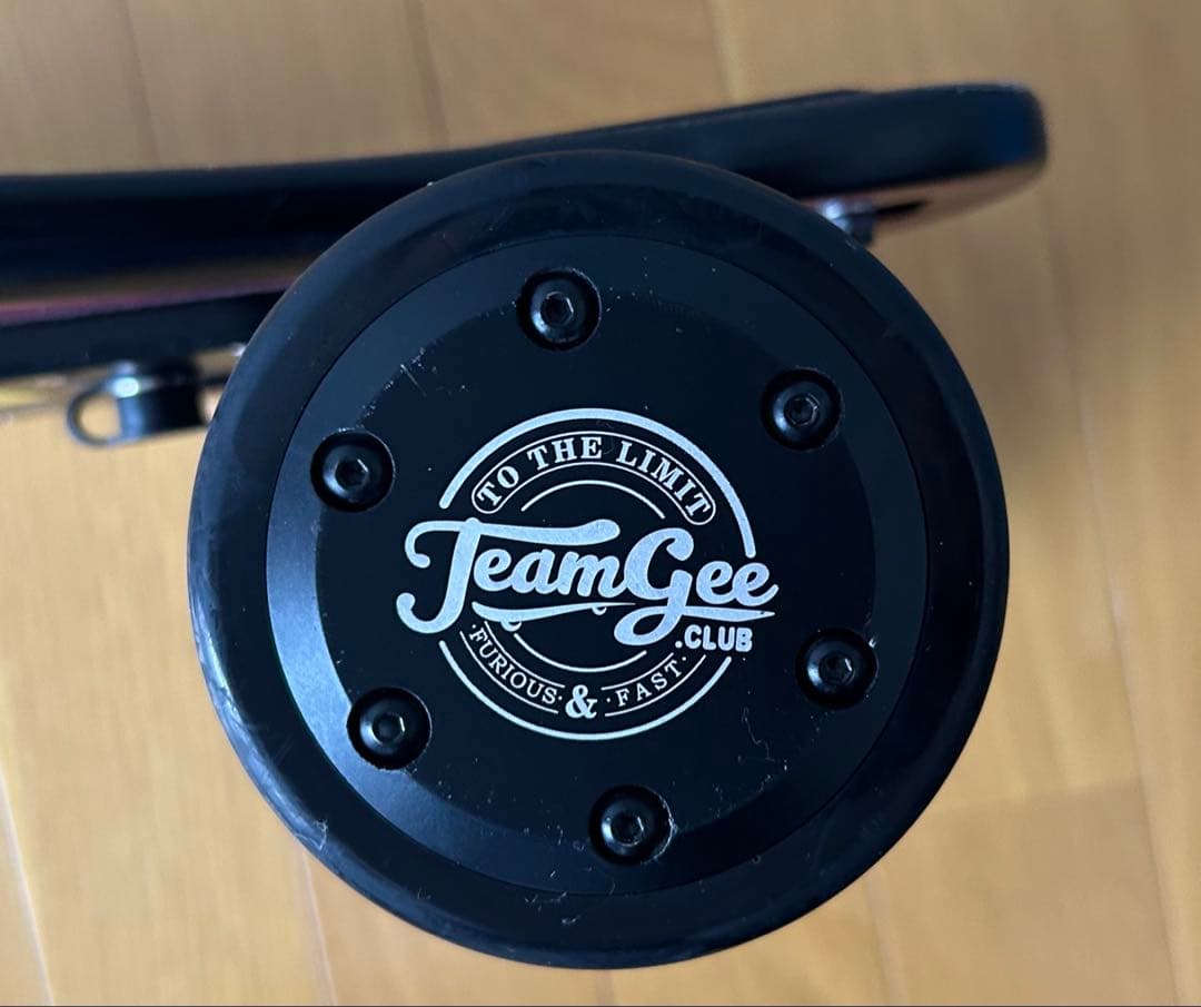 Teamgee H5 電動スケートボード