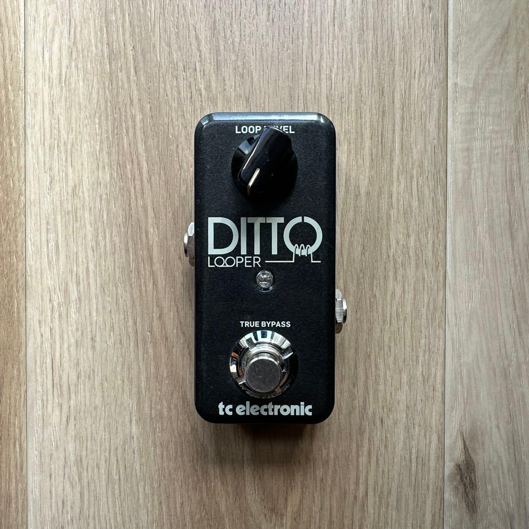 ギター TC ELECTRONIC DITTO LOOPER