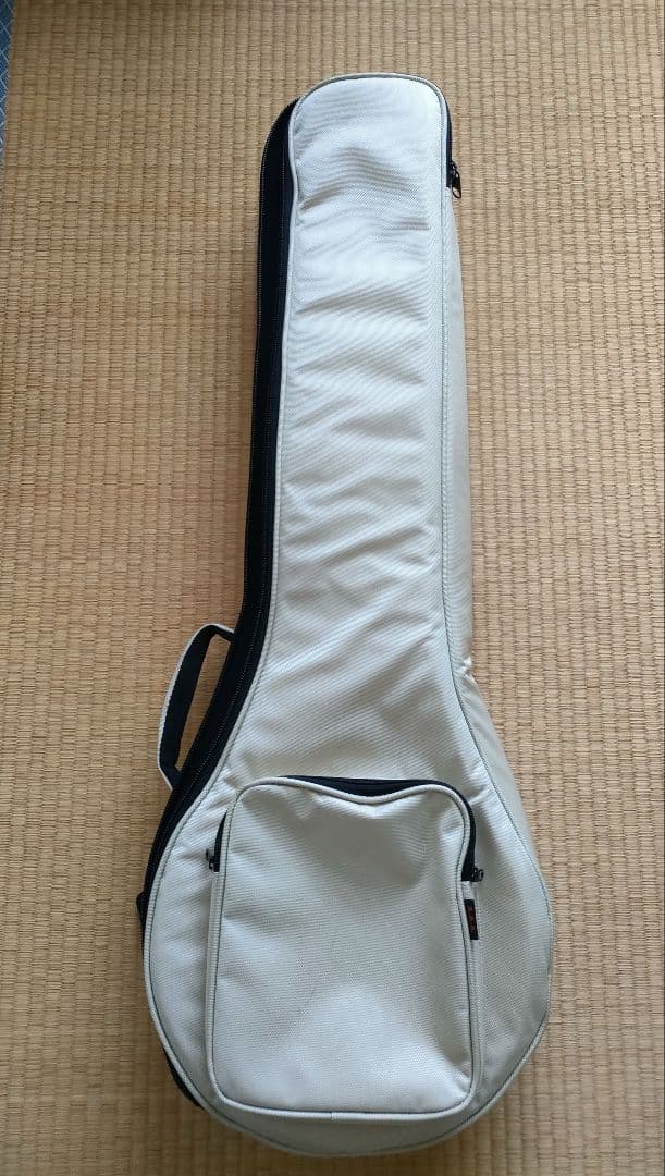 【美品】Gold Tone　AC-4IT　アイリッシュテナーバンジョー