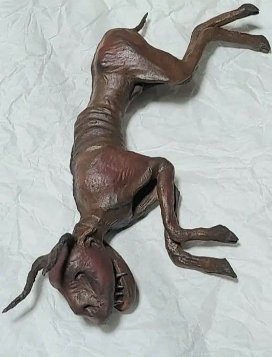 一点物「妖獣鬼鹿」のミイラ標本