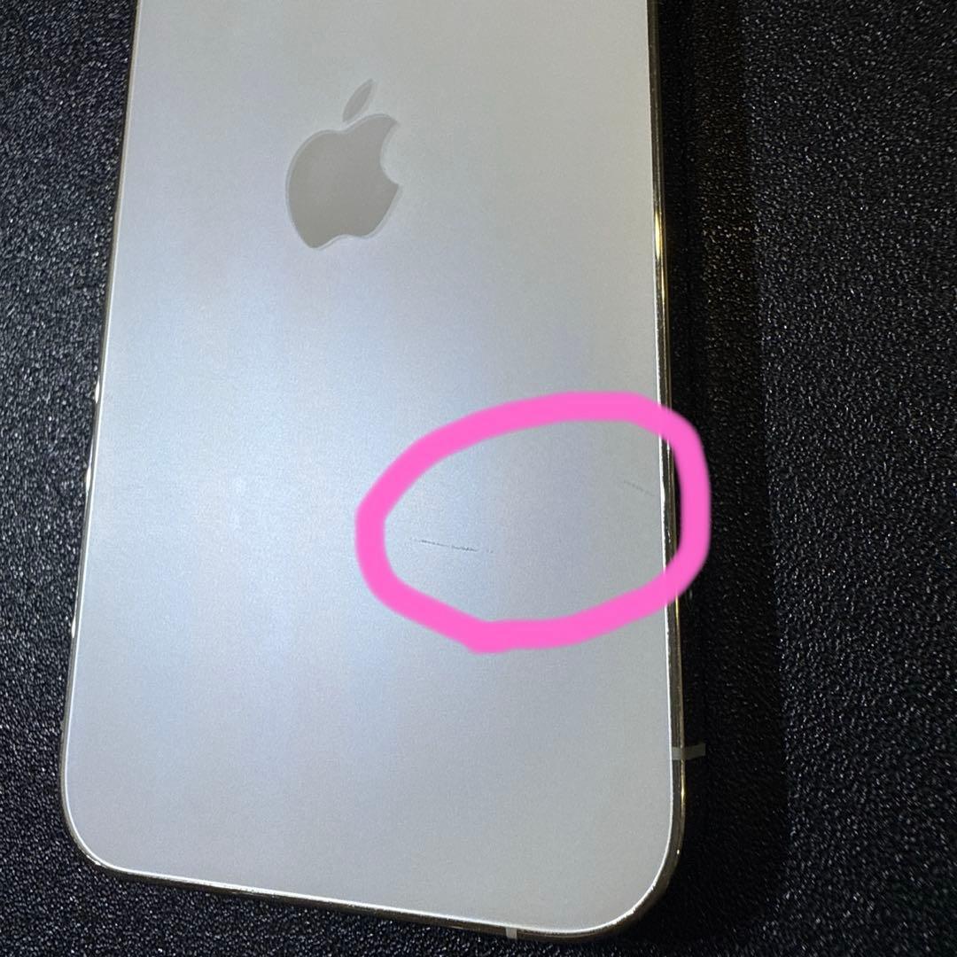 iPhone12pro シルバー128GB ビションフリーゼ柄カバー×4おまけ付