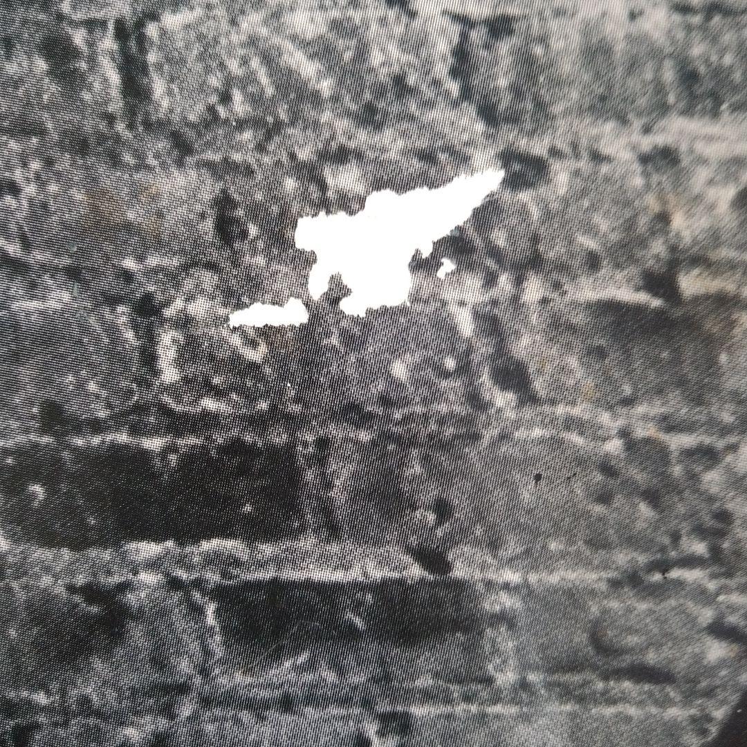 ウイルソンブラザーズ　アナザーナイト（WilsonBros.）　ポスター