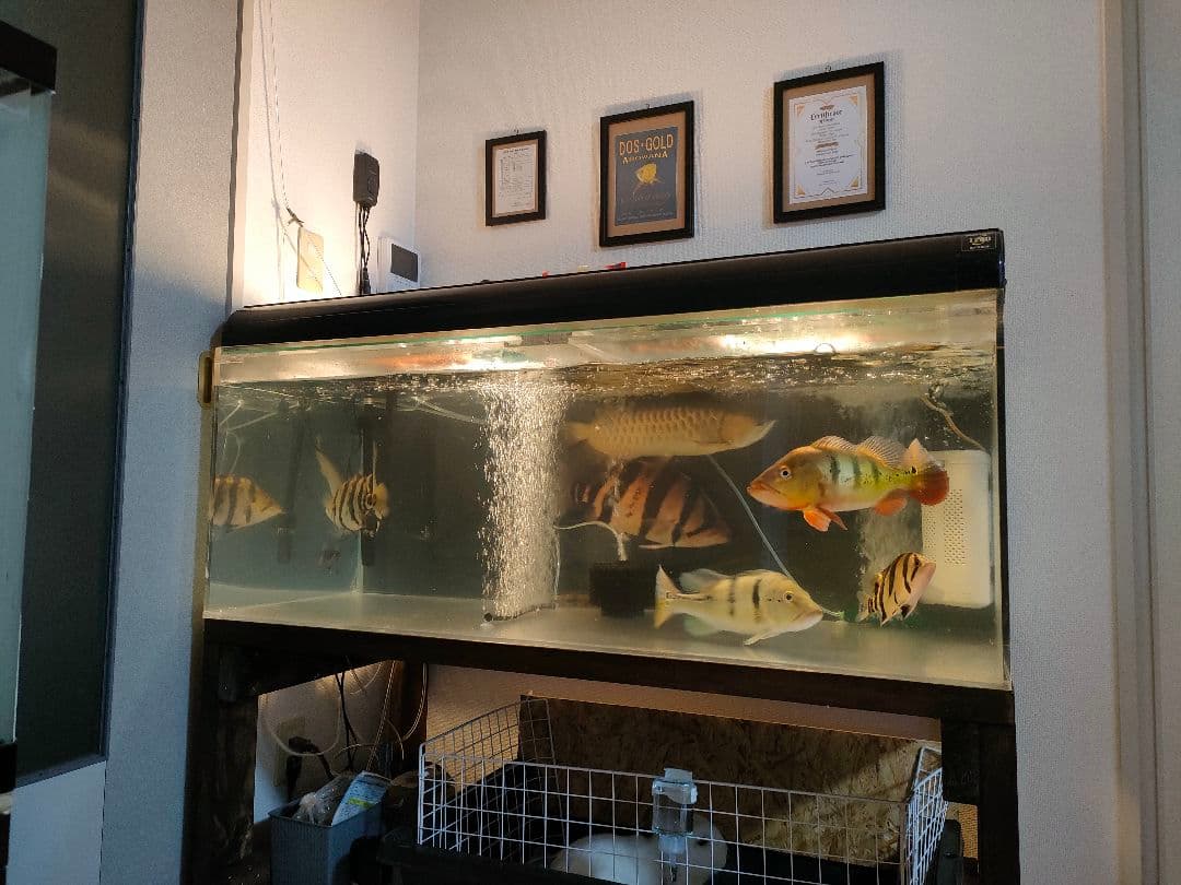 超美品！！120㌢水槽☆水槽単品☆引き取り限定！！大型水槽