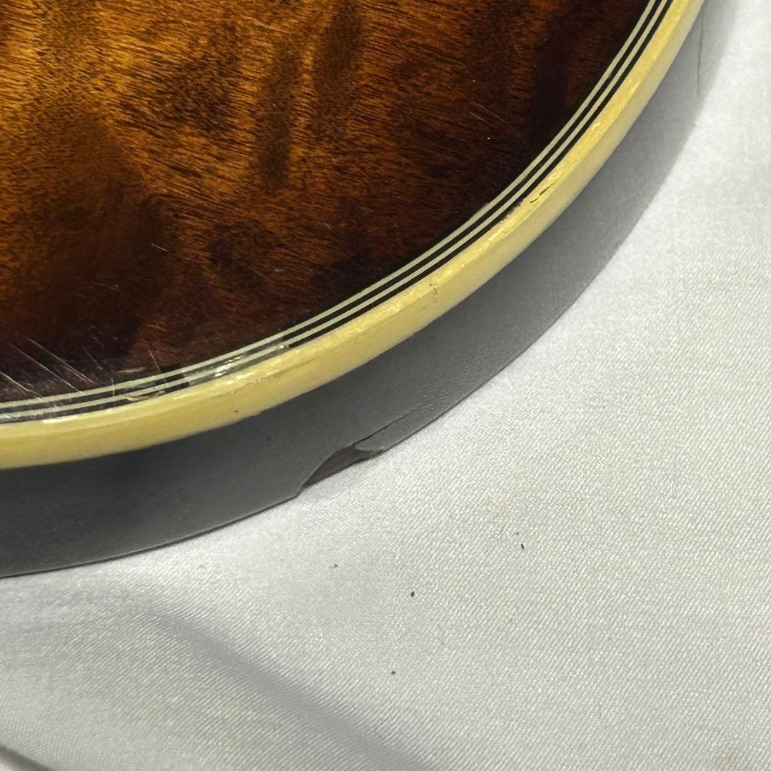 【希少モデル・美品】Ibanez RG198QM エレキギター