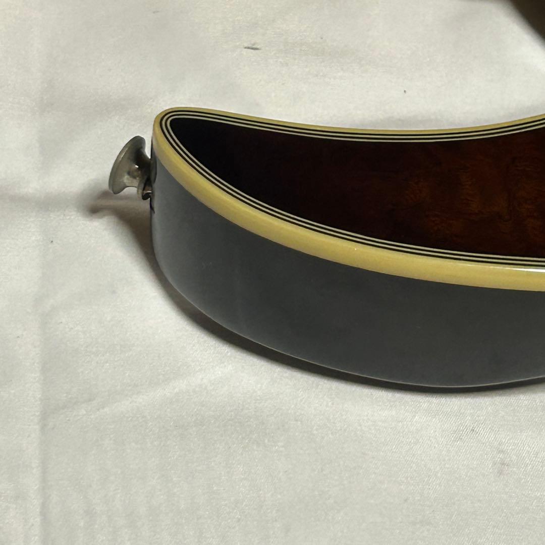 【希少モデル・美品】Ibanez RG198QM エレキギター