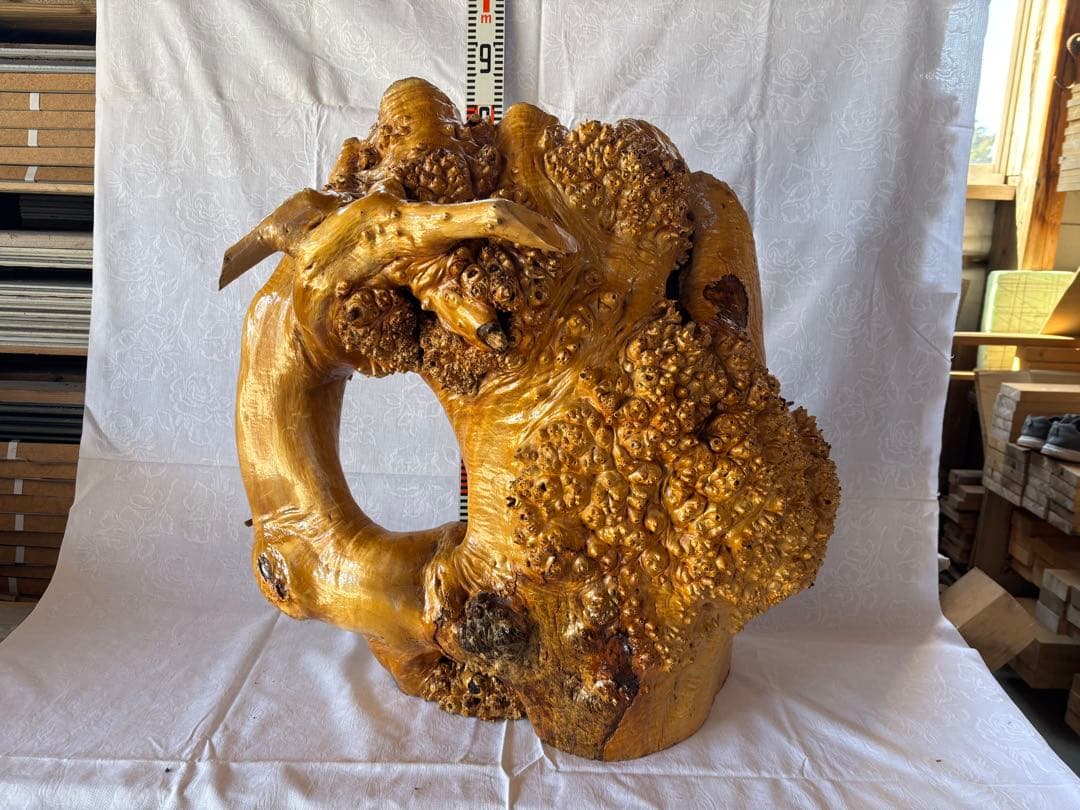 自然木の彫刻 装飾品 約75cm 高級感抜群　自立
