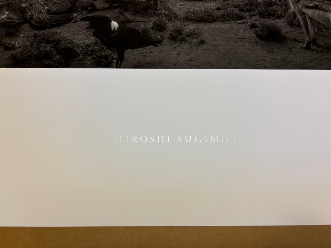 杉本博司　真作　ポスター　「ハイエナ　ジャッカル　コンドル」