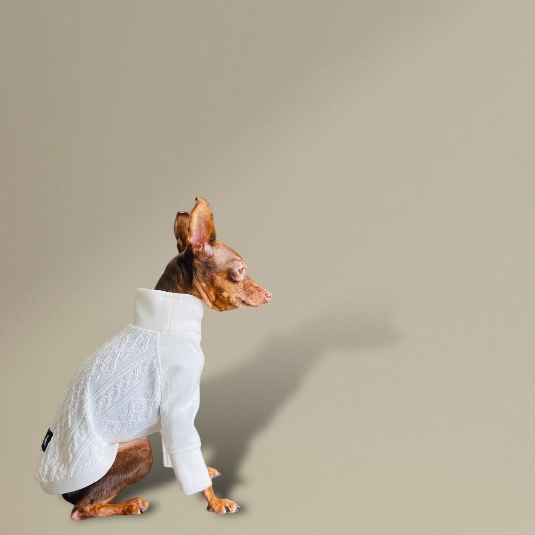 ⑭アラン風ニットトップス