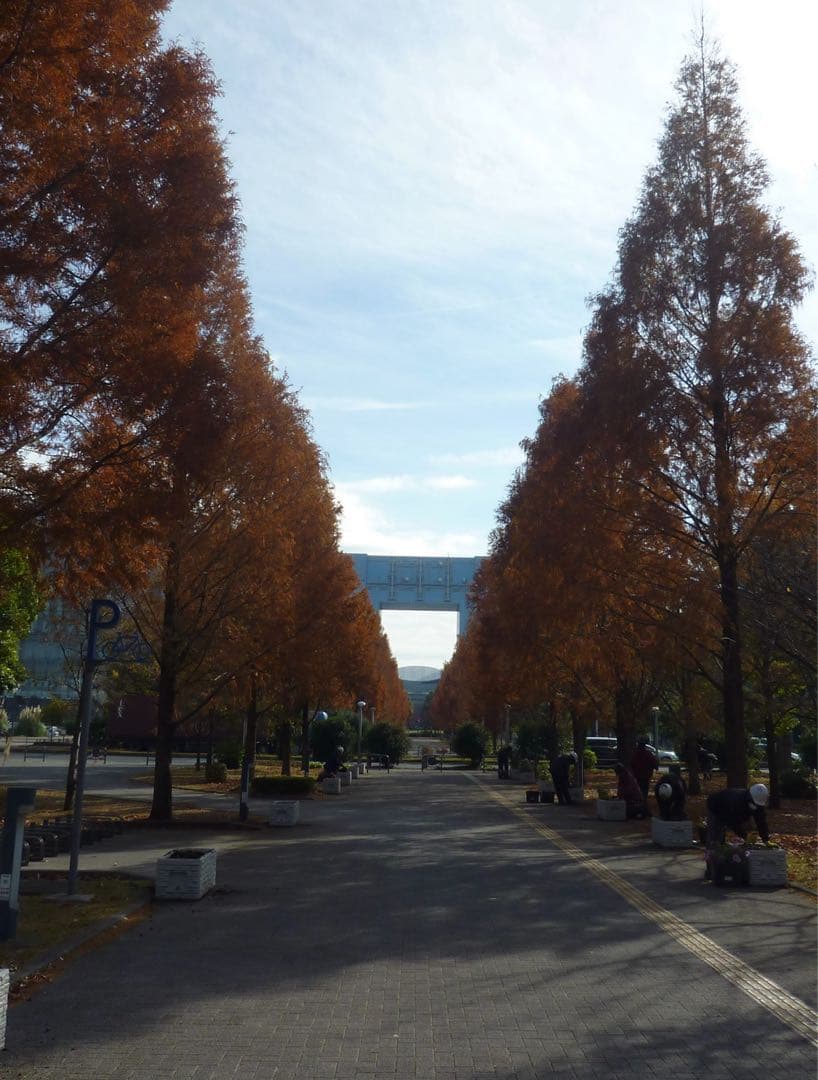 Panasonic DMC-FX60 デジタルカメラ シルバー 動作確認済み