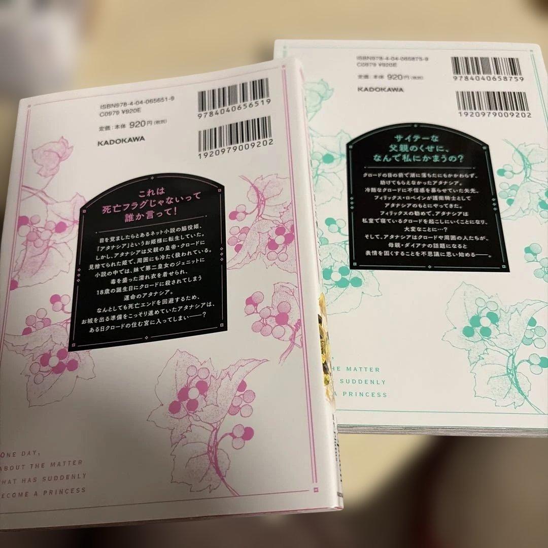 ある日お姫様になってしまった件について　全13巻