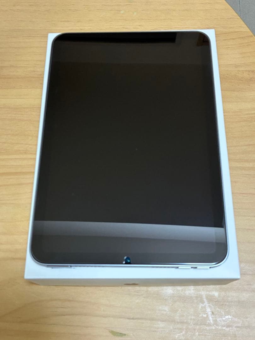 第7世代　Apple iPad mini スペースグレー 本体　Wi-Fi