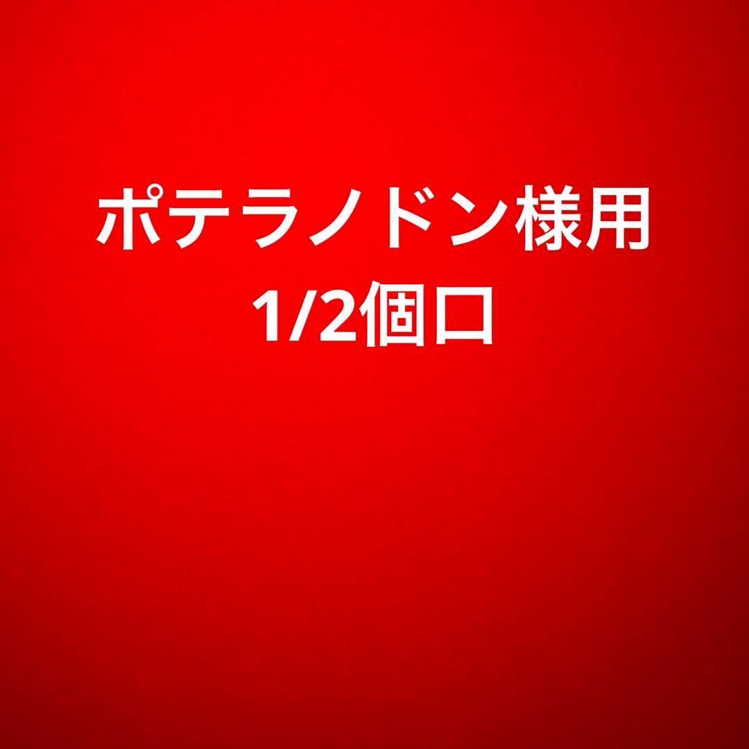 11/3迄　ポテラノドン様用 1/2個口 書籍セット