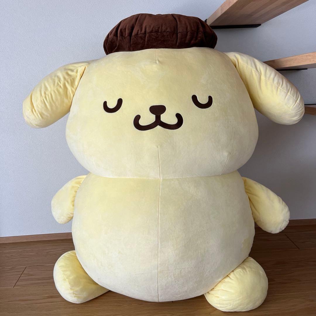 すべてを受け入れるポムポムプリン