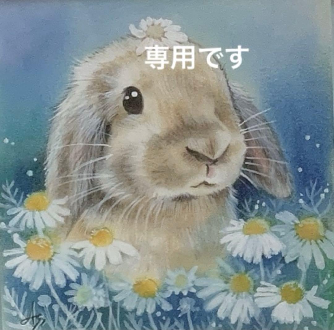 バニーセレクションプロ メンテナンスミックスヘイ2.5kg正規品×4袋＆試食品