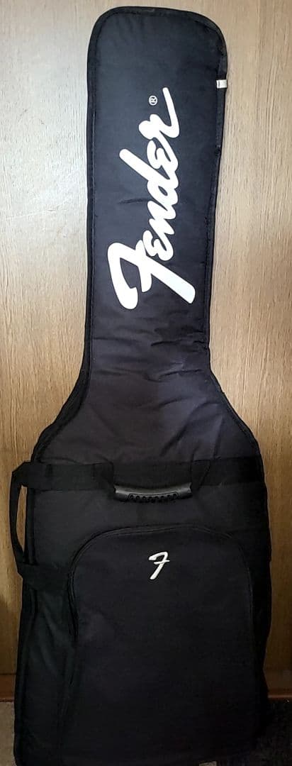 FERNANDES THE FUNCTION CUSTOM BODYエレキギター