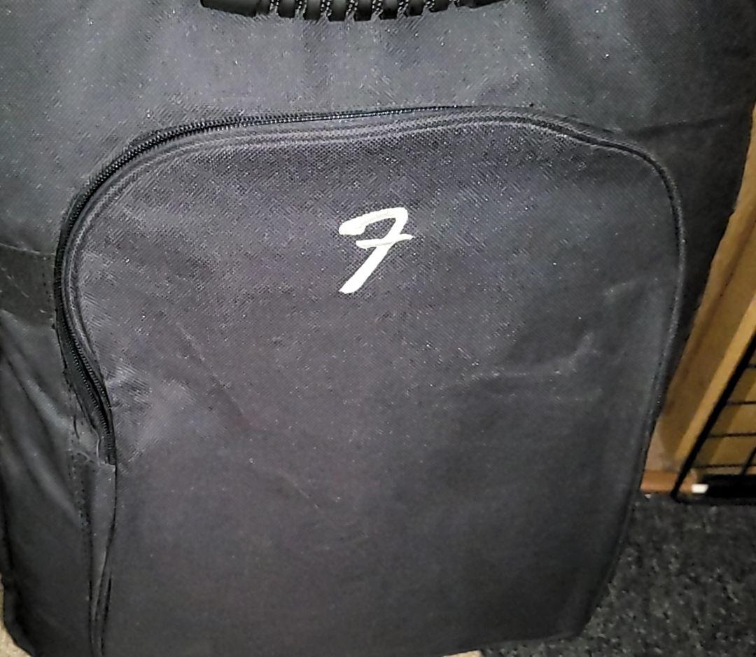 FERNANDES THE FUNCTION CUSTOM BODYエレキギター