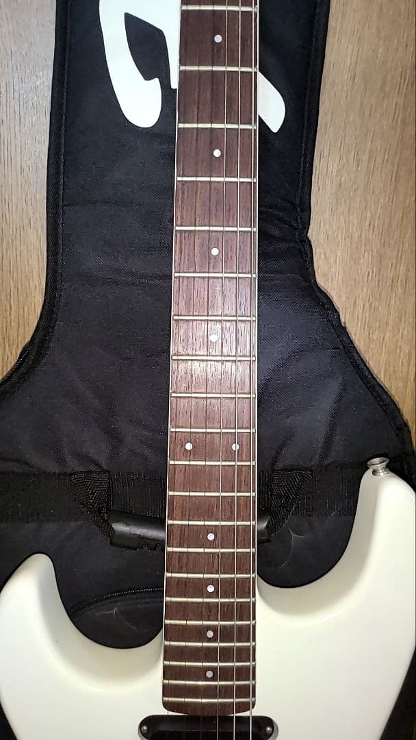 FERNANDES THE FUNCTION CUSTOM BODYエレキギター