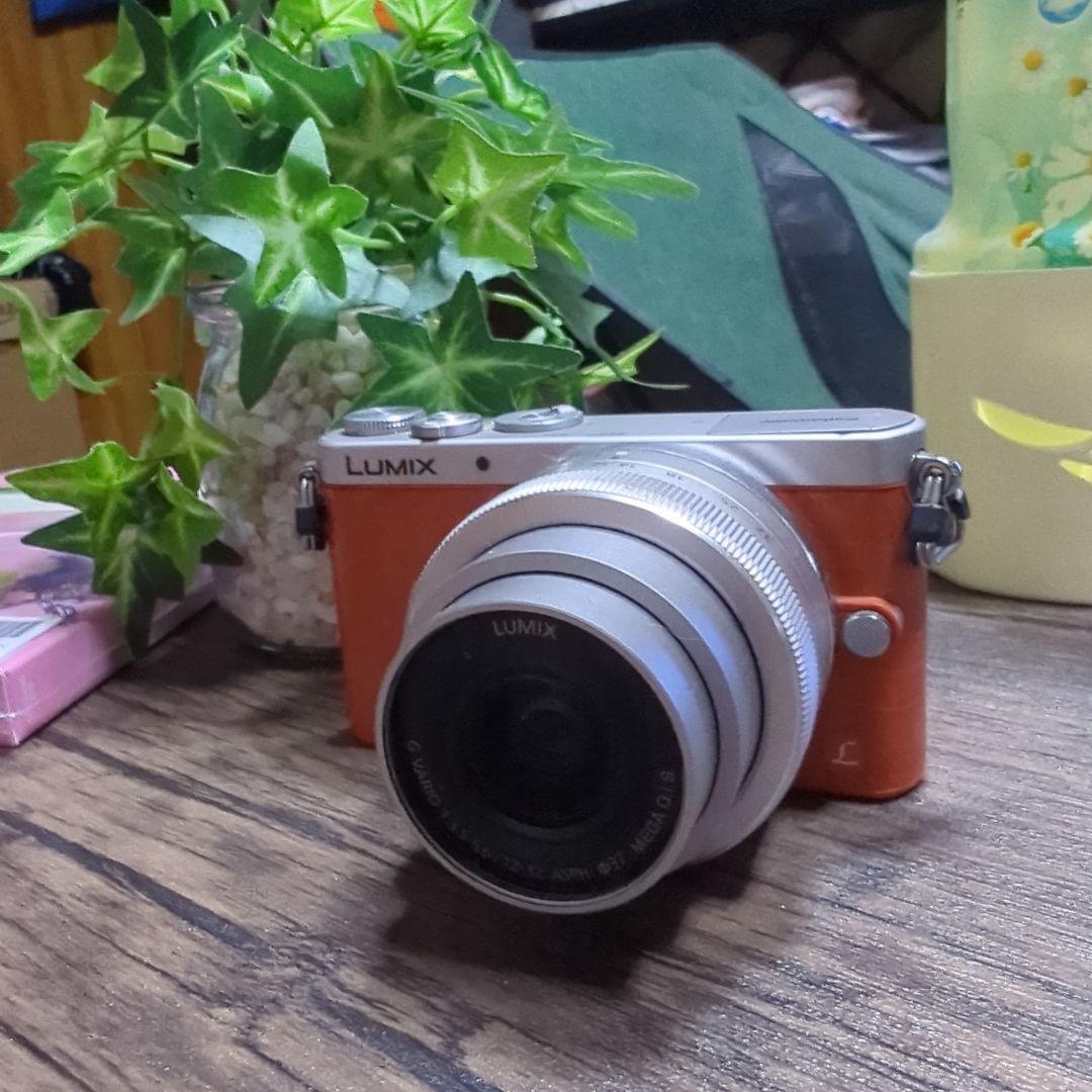 LUMIX　DMC-GM1