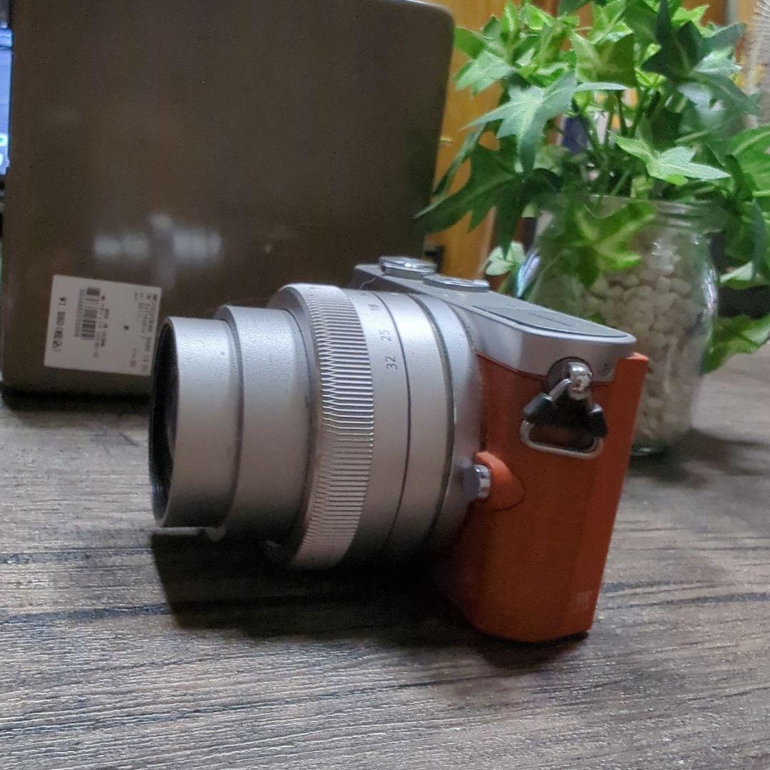 LUMIX　DMC-GM1