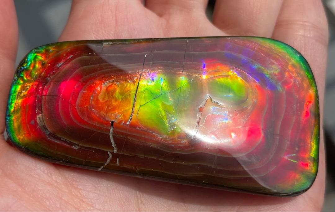 【期間限定セール】アンモライト 天然研磨ルースストーン