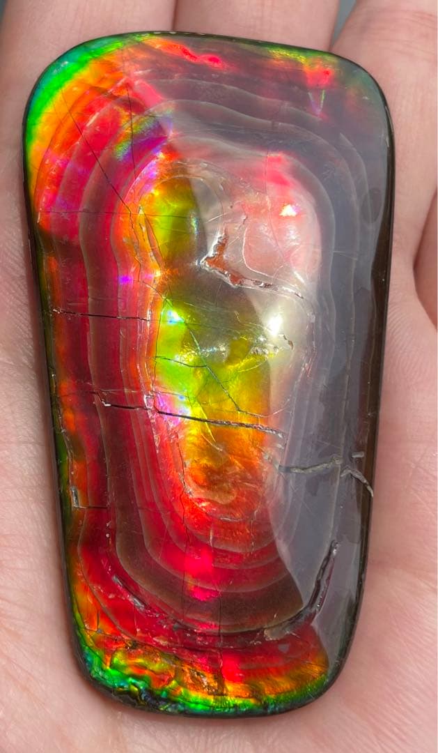 【期間限定セール】アンモライト 天然研磨ルースストーン