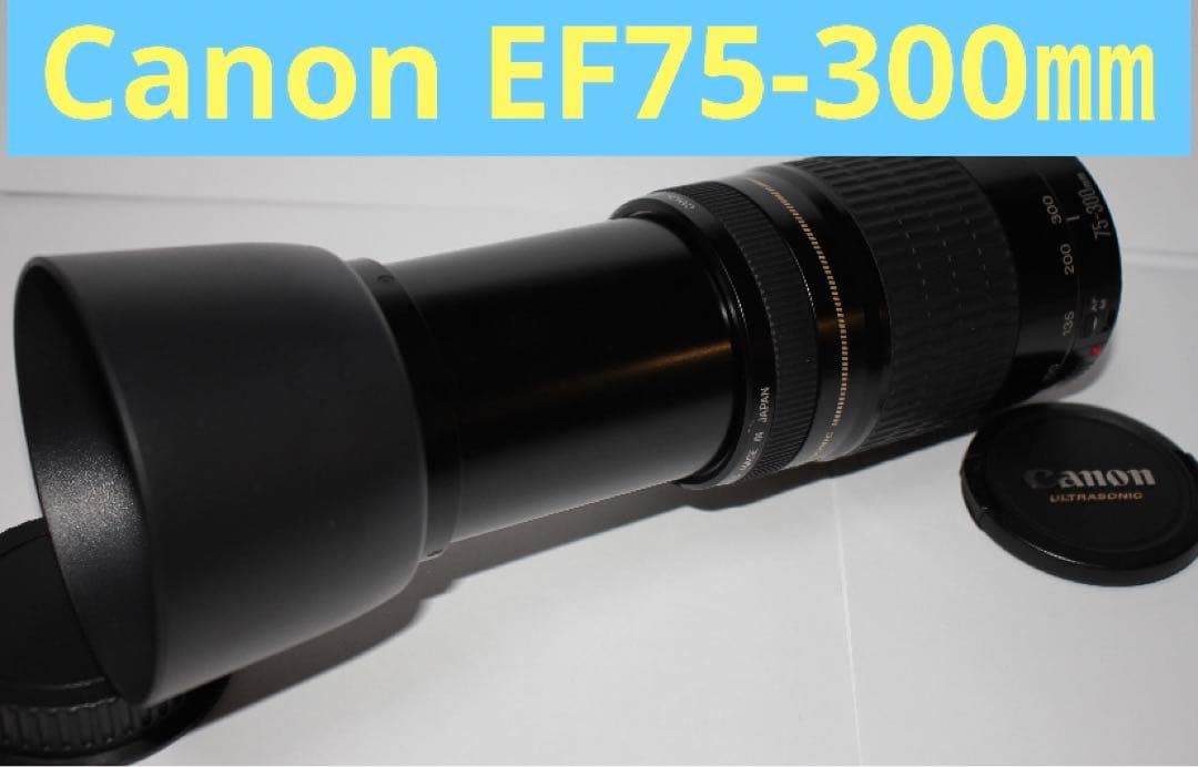 人気の300㎜☆超望遠レンズ☆CANON EF 75-300mm F4-5.6