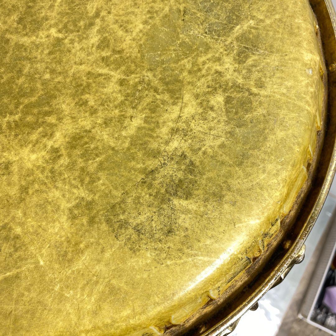 値下げToca Limited Editionコンガ／キント　マイネルスタンド