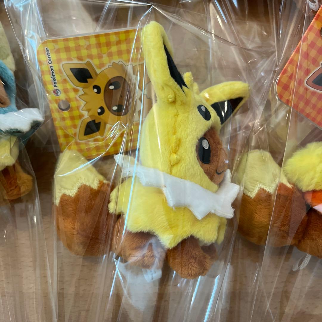ポケモンセンター限定 ブイズのポンチョを着たイーブイ 8種セット