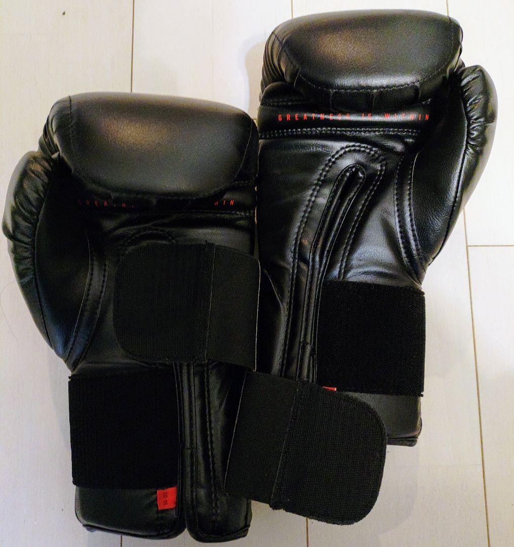 ＥＶＥＲＬＡＳＴ ＰＲＯ　14oz